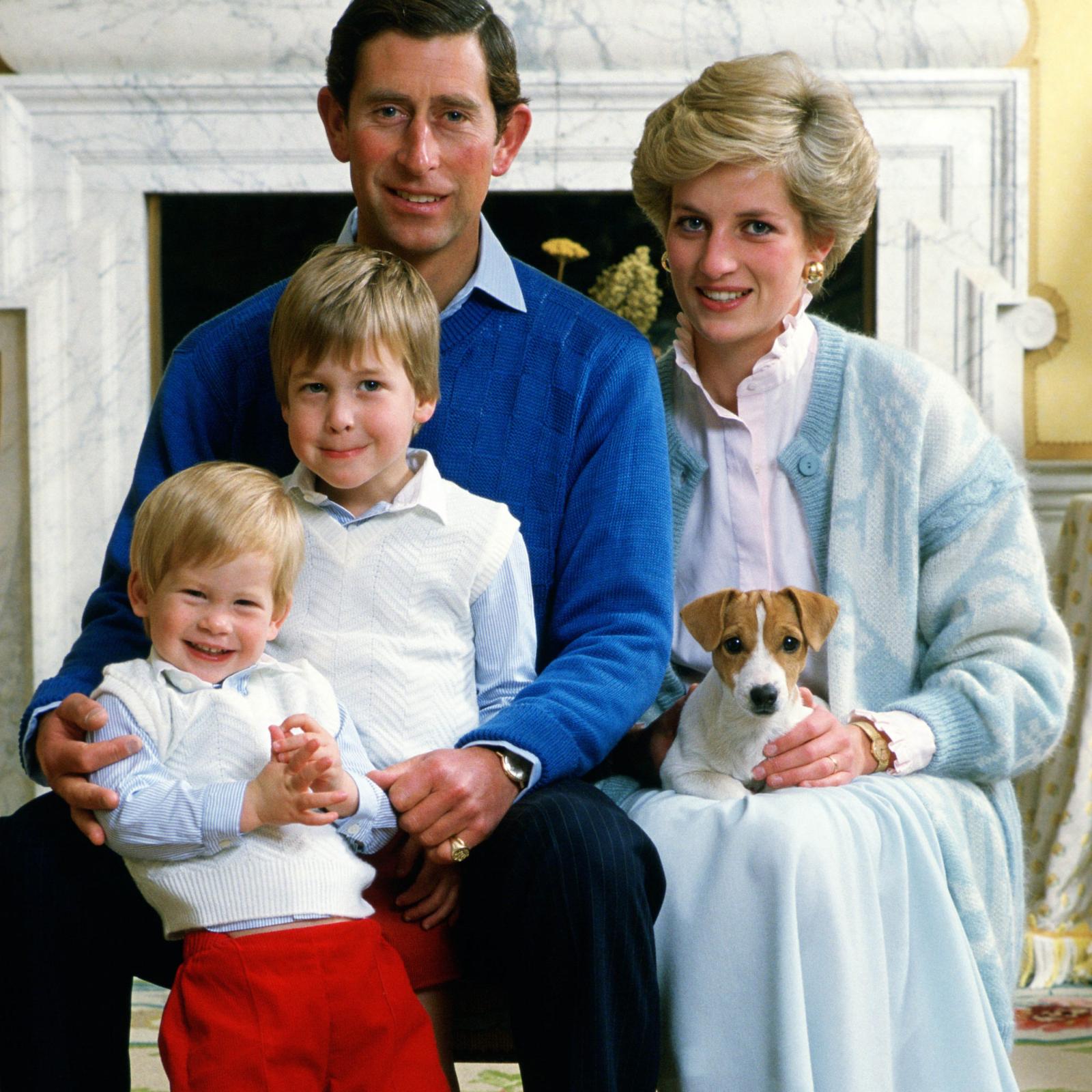 фотографии британской семьи