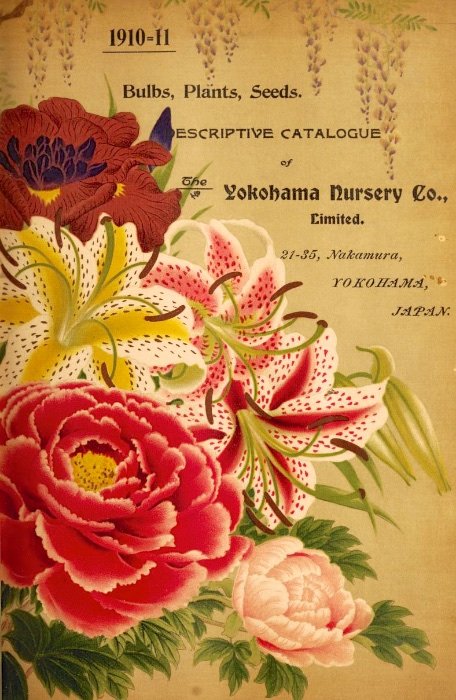 Старинный каталог цветов