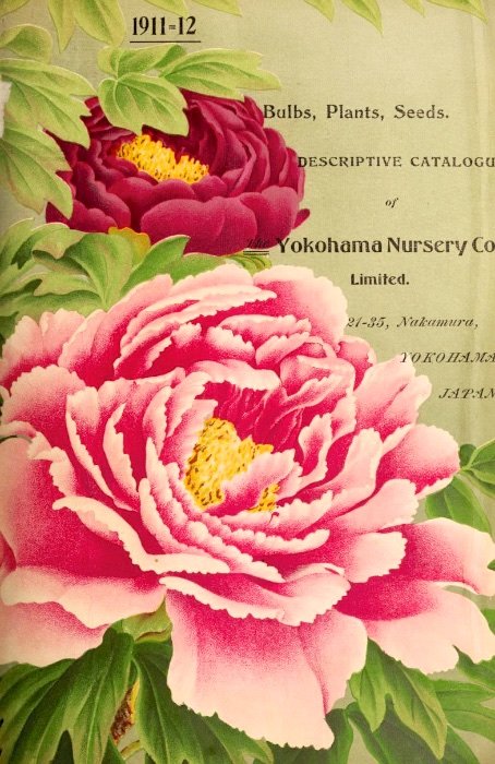 Старинный каталог цветов