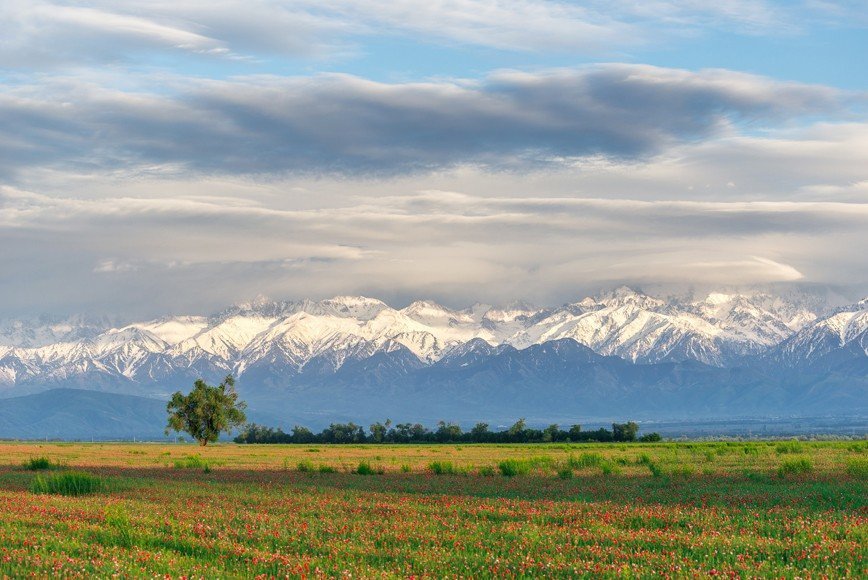 Казахстан – страна великой степи