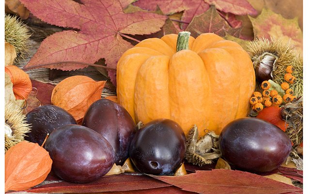 Диетологи рекомендуют осенью есть тыкву и сливы
