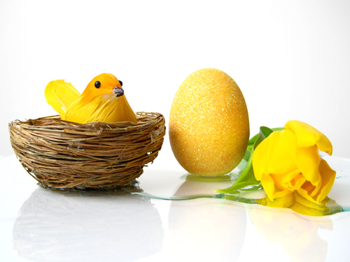 Весна это прежде всего первые цветы, ТЮЛЬПАНЫ (1). Весна это праздник Пасхи (Easter), символом которого являются украшенные ЯЙЦА (2). Для детей на Easter главное развлечение это Egg Hunt (охота на яйца). Еще весна это прилетевшие с юга и засевшие в свои ГНЕЗДЫШКИ (3) ПТИЦЫ (4). Рядом с нашим домом, под крышей парковки, очень много гнездышек, и каждую весну разные птички высиживают там своих птенчиков. Один птенчик однажды выпал из гнезда прямо на парковку, мы мужем положили его назад в гнездо к маме. Pumpkin