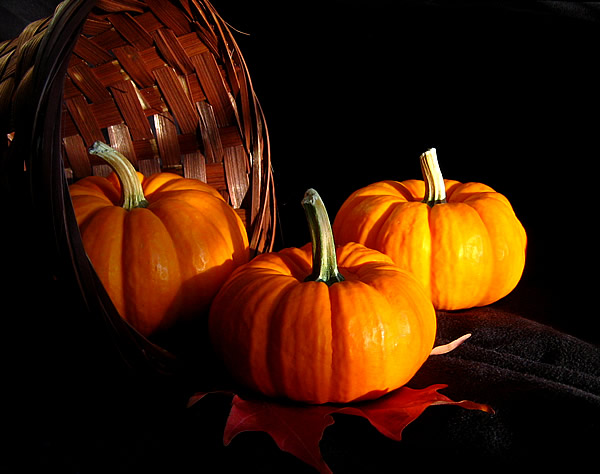 Тыквы - обязательй атрибут Хэллоуина Pumpkin