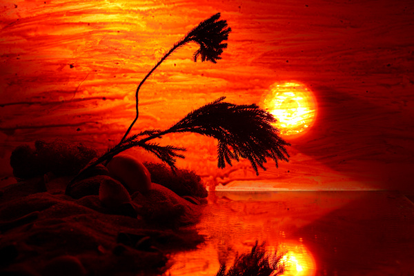 закат на море:пальмы, солнце, песок, вода.... ella1977 (РФК)
