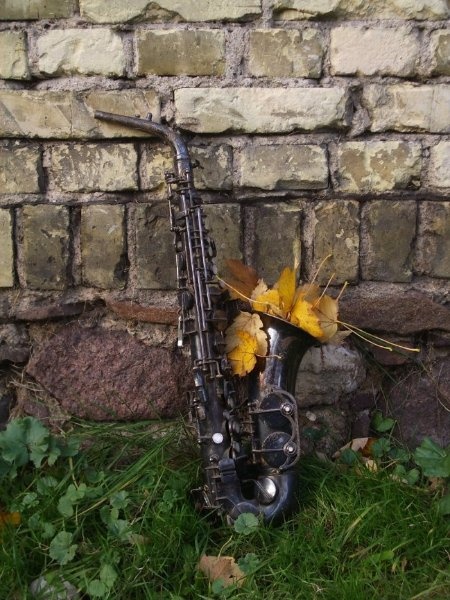   
Осень,  исполняющая  джазовую  композицию  на  саксофоне,  прелесть  звучащей  музыки,  красота  инструмента  и  лаконичность  чувств.
 клюква в сахарной пудре