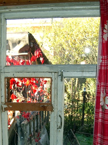 Окно на бабушкиной даче в старом доме Мару- капитанская дочка
