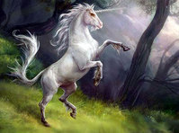 Лошадь Белая