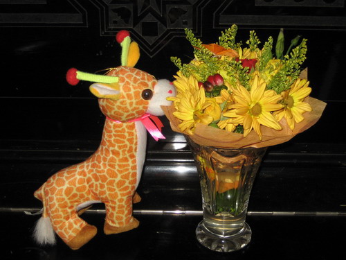 Только в детстве мы говорим:"Жирафик, понюхай цветочки" :) Camolga