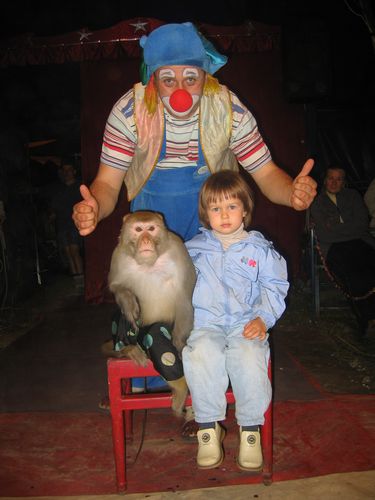 две обезьянки и клоун Тиллотама.