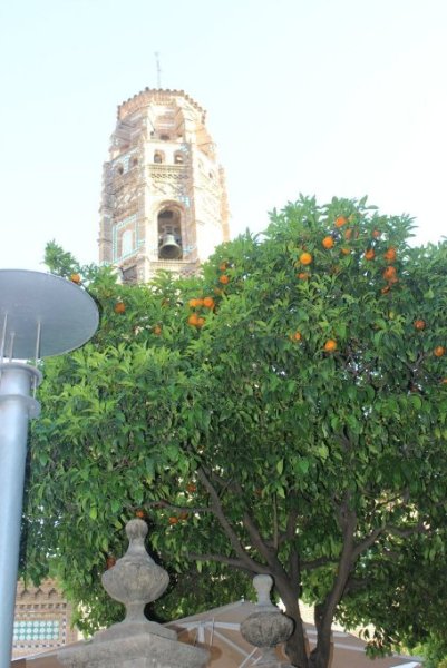 Апельсиновое дерево в испанской деревне :) Р_Е_И