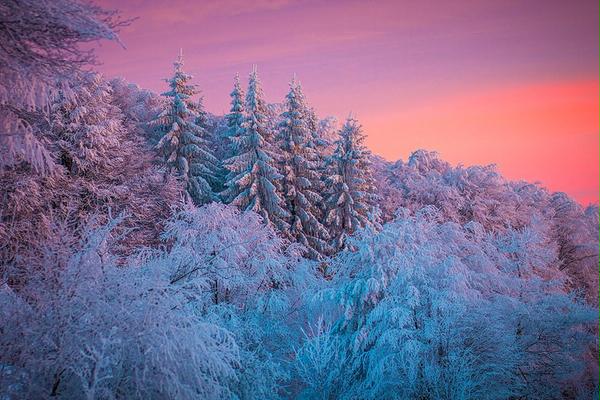 Зима в горах Болгарии ❅JАNЕ❅