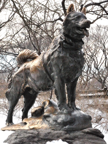 Это памятник Балто – лайке, которая стала символом гордости всего американского народа в середине 20х годов.  Он стоит в Центральном парке Нью–Йорка с выгравированными словами: “Выносливость, Преданность, Ум”. И действительно заслужено. Это героическая собака. Она спасла жизнь детям больным дифтерией, доставив вакцину  http://balto.ru/index.php?option=com_content&task=section&id=11&Itemid=37 kleplandia