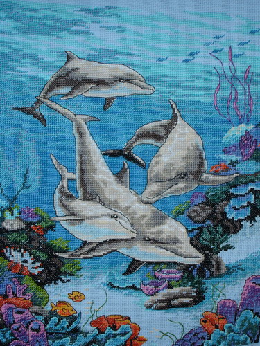 Дельфиньи владения Dolphin4ik