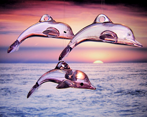 Дельфины ☀Кампанелла☀