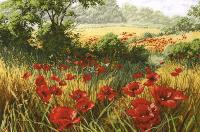 A Host Of Poppies