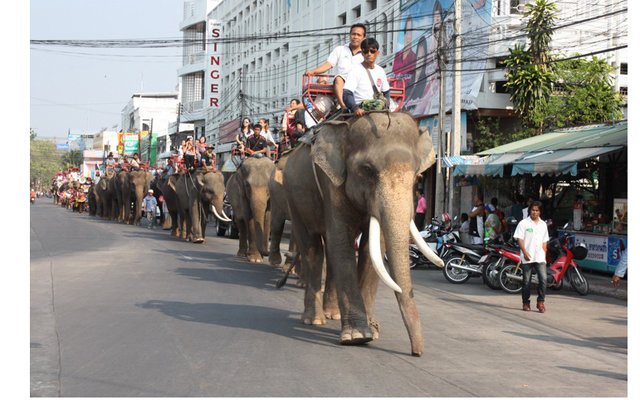 Туристические аттракционы со слонами в Таиланде
