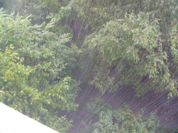 Дождь... вид сверху, с балкона патиссон