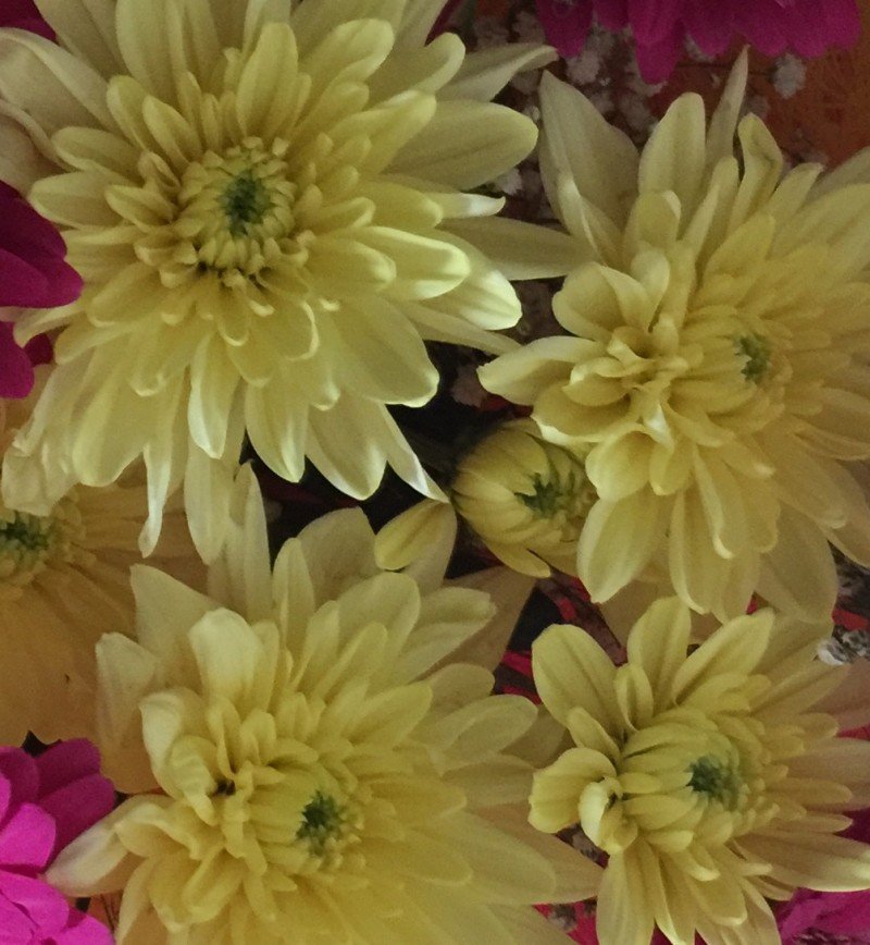 Цветы от любимого мужчины мама Тимофея и Ванечки