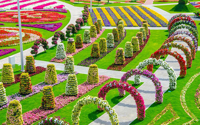Сад чудес в Дубае возобновил свою работу