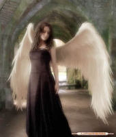 Angel_L