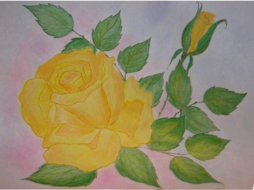 Роза желтая,как ты красива 
хоть и грустен немного твой цвет 
и печаль в тебе молчаливо 
оставляет магический след... (с) Цветик7цветик