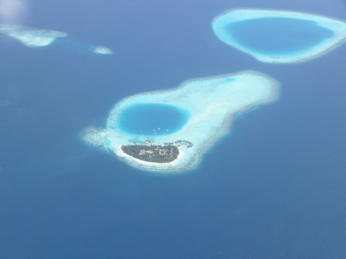 Мальдивы Бонита