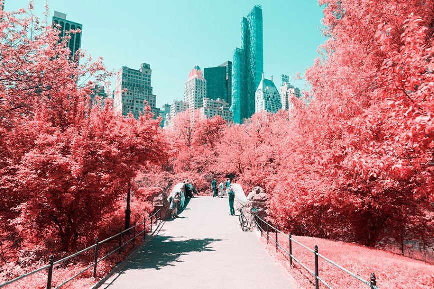 Центральный парк Нью-Йорка в инфракрасных фото