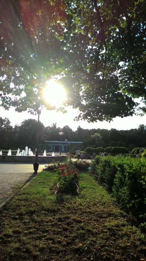 Летнее солнышко садится в фонтан. Парк Сокольники.Большой розарий. пышк