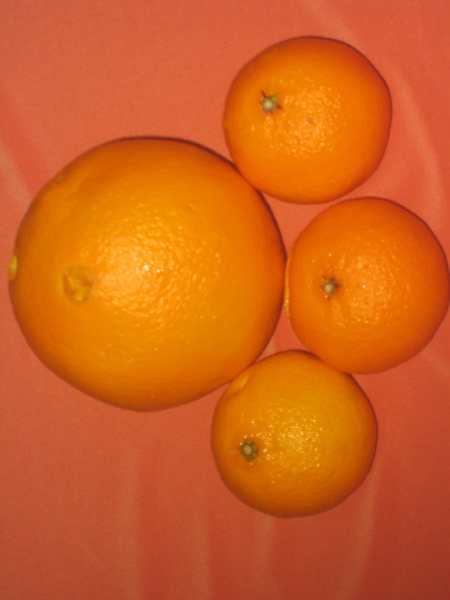 апельсины-мандарины... IRIsKA