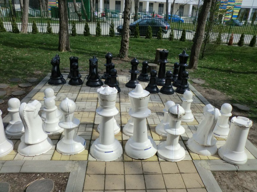 Шахматы Slonik-1138