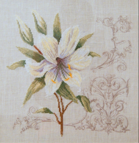 Lanarte 
Белая лилия и орнамент (White Lily and Ornament) 
Размер 29х29 
 
 Colle79
