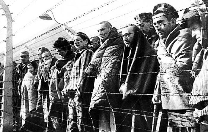 Сегодня Международный день освобождения узников концлагерей