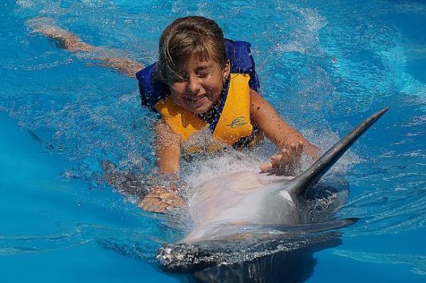 Любимое фото потому что на нем- моя любимая дочурка и мой любимый дельфин.
 Юлаша