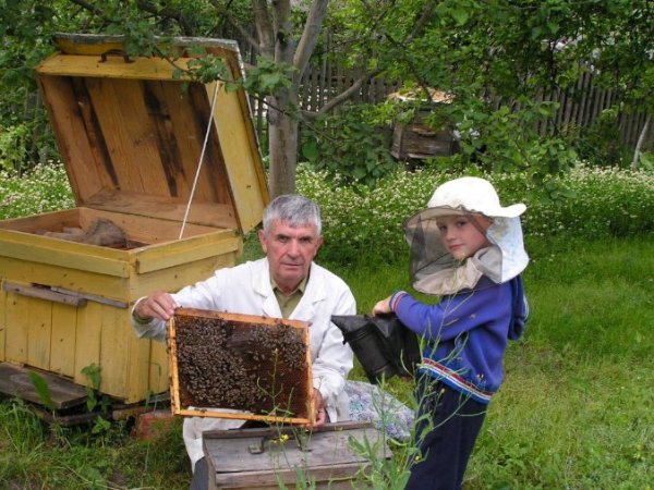 мой любимый пчеловод помогает деду))) крошка Лу