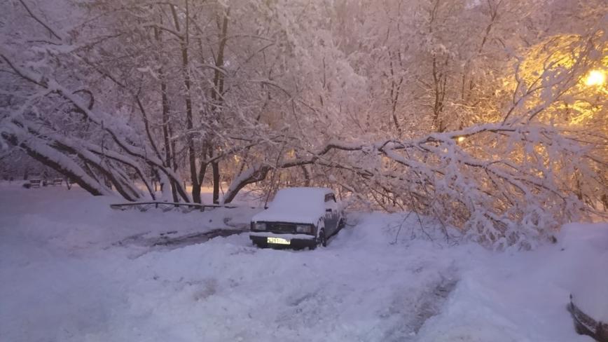 Сильнейший снегопад в феврале 2018. Тогда столько деревьев рухнуло! Солнце