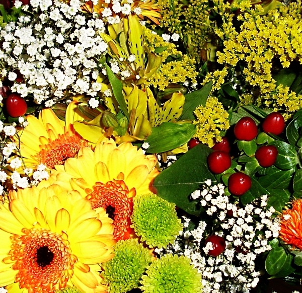 дарю красивые цветы,чтобы поздравить с Днем Рождения и с праздником весны!!! liusikapi