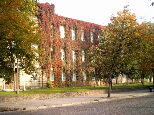 Гродненский университет. Tanya1