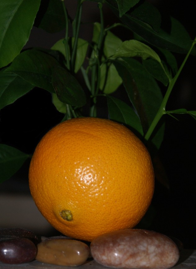 Апельсин Green Fox