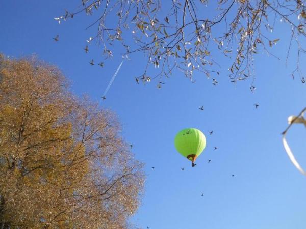 Летят...воздушные шары, птицы, самолеты над Царским Селом в городе Пушкин nevskii
