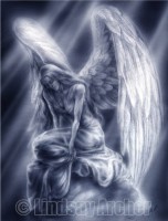 серый ангел D