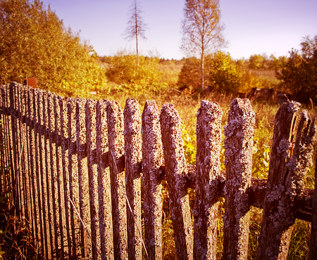 Осенний пейзаж с забором
 Академик Флуда