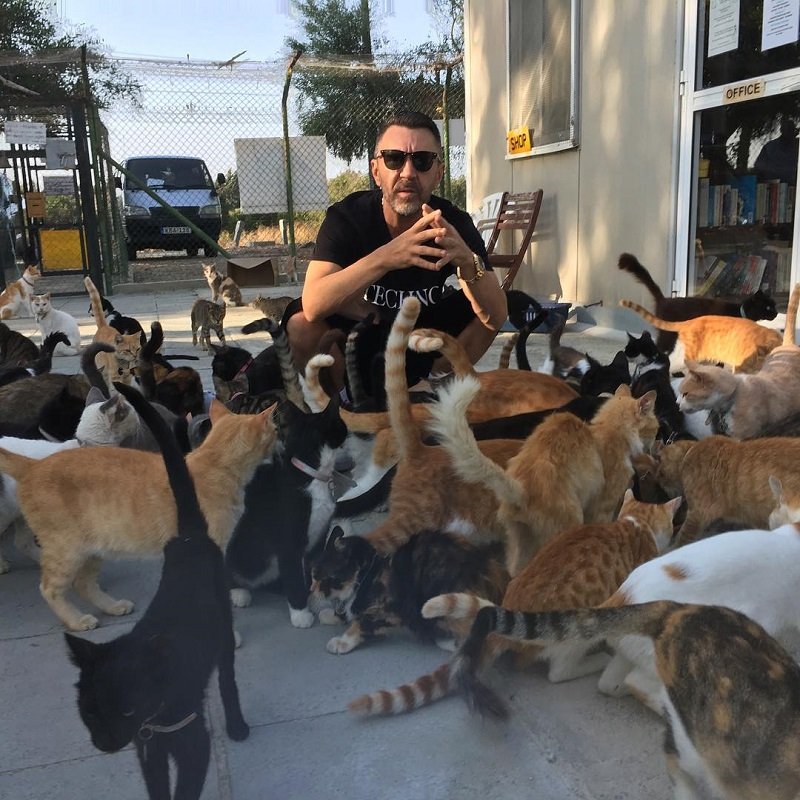 "Шнур и котики": Сергей Шнуров помогает бездомным животным