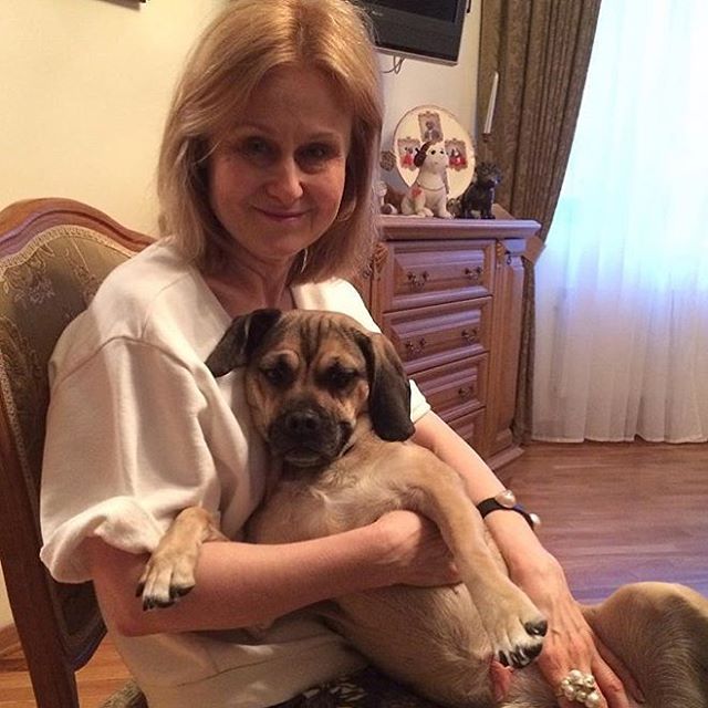 Дарья Донцова и ее мопсы готовятся к Новому году