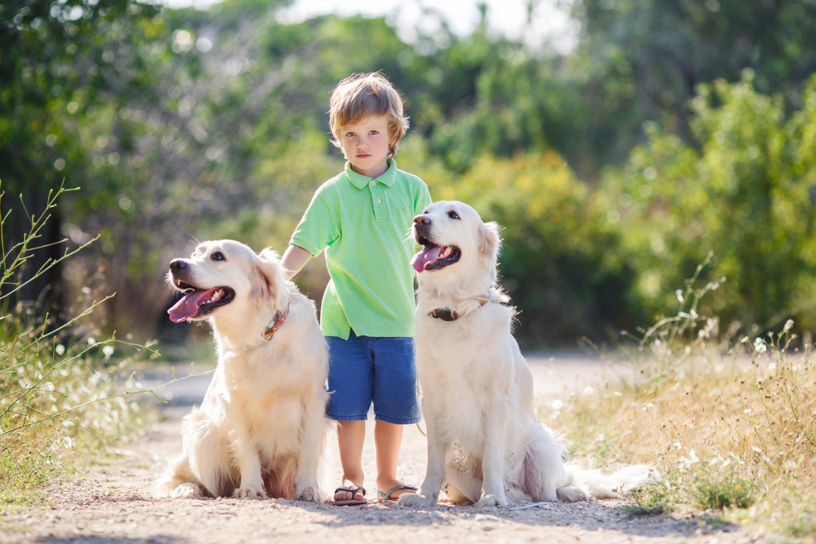 Собакавесьденьгуляка: как научить ребенка прогулкам с питомцем
