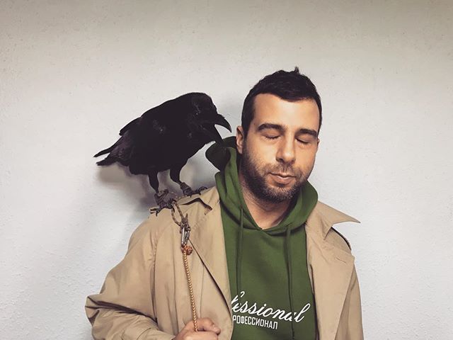 «Это должна быть сорока!»: Иван Ургант усадил на плечо ворона