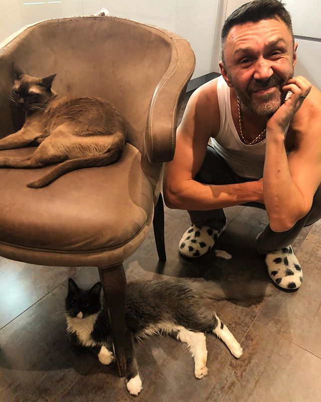 «Теперь котят раздавать!»: в доме Сергея Шнурова появилось еще одно животное