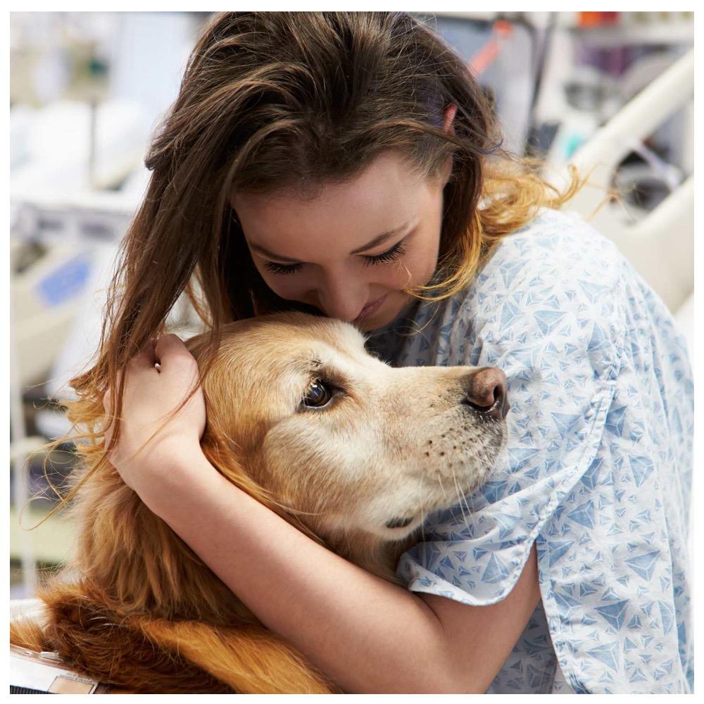 Пет-терапия: как животные улучшают психологическое здоровье человека