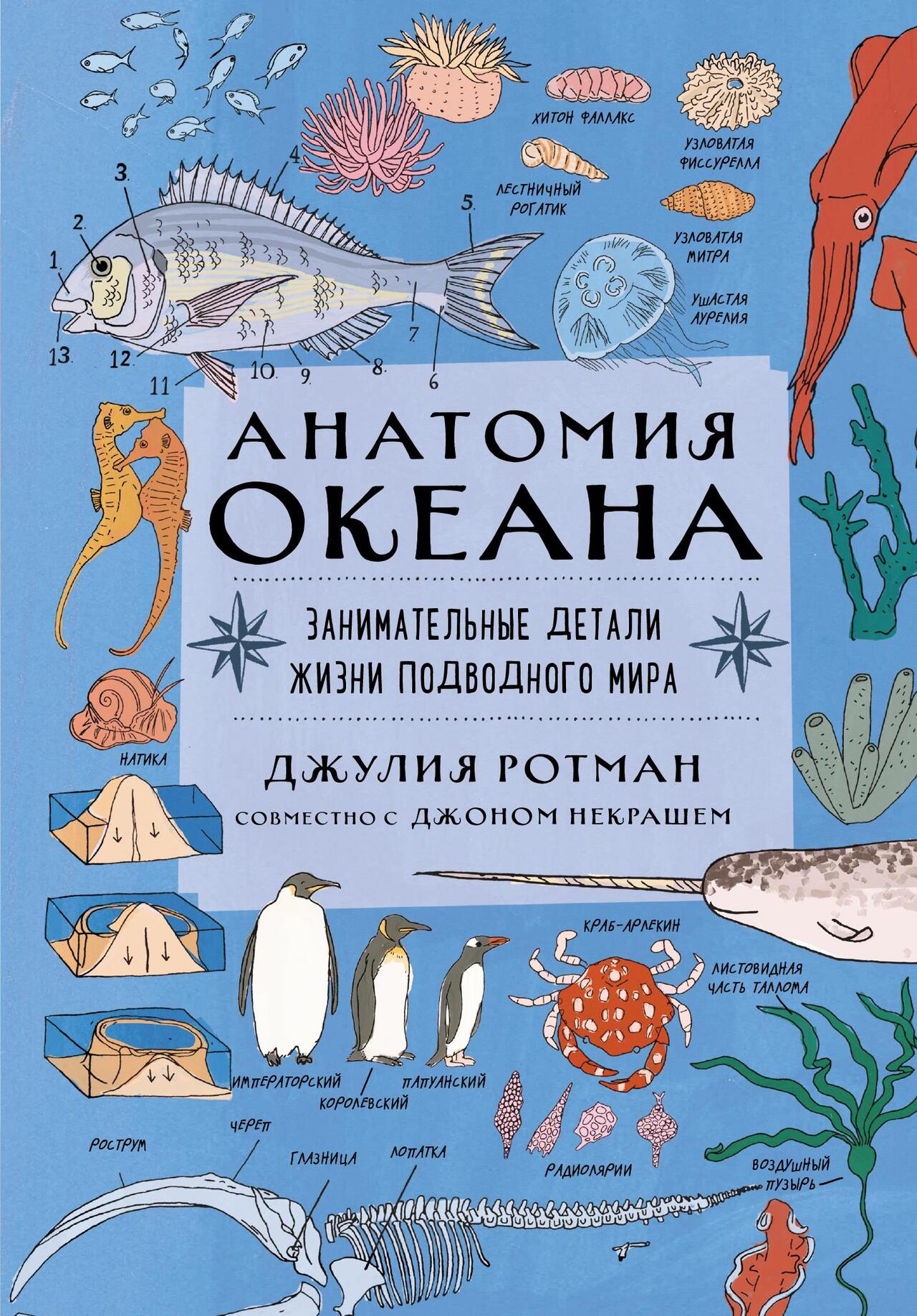 Книга «Анатомия океана. Занимательные детали жизни подводного мира»