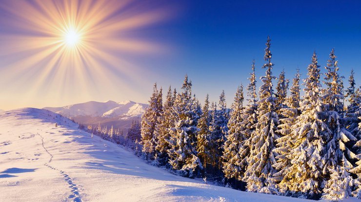 Советы астролога: как провести вечер зимнего солнцестояния, чтобы год удался