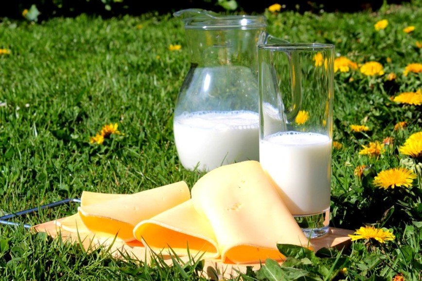 Ученые нашли связь между употреблением молока и долголетием